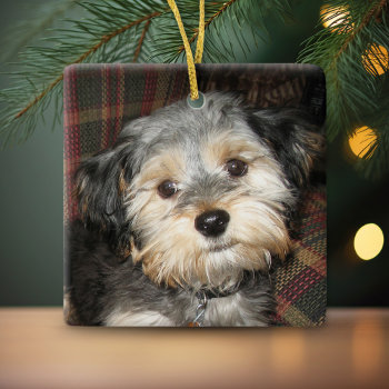 Pet Dog Photo Frame - Add Name On Back Ceramic Ornament by MyGiftShop at Zazzle