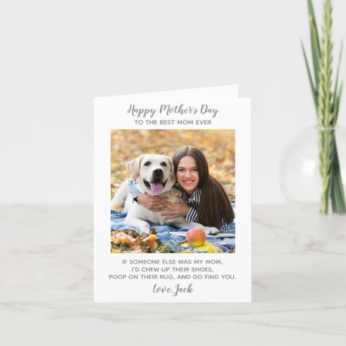 Pet Dog Photo Happy Mothers Day Dog Mom Holiday Card