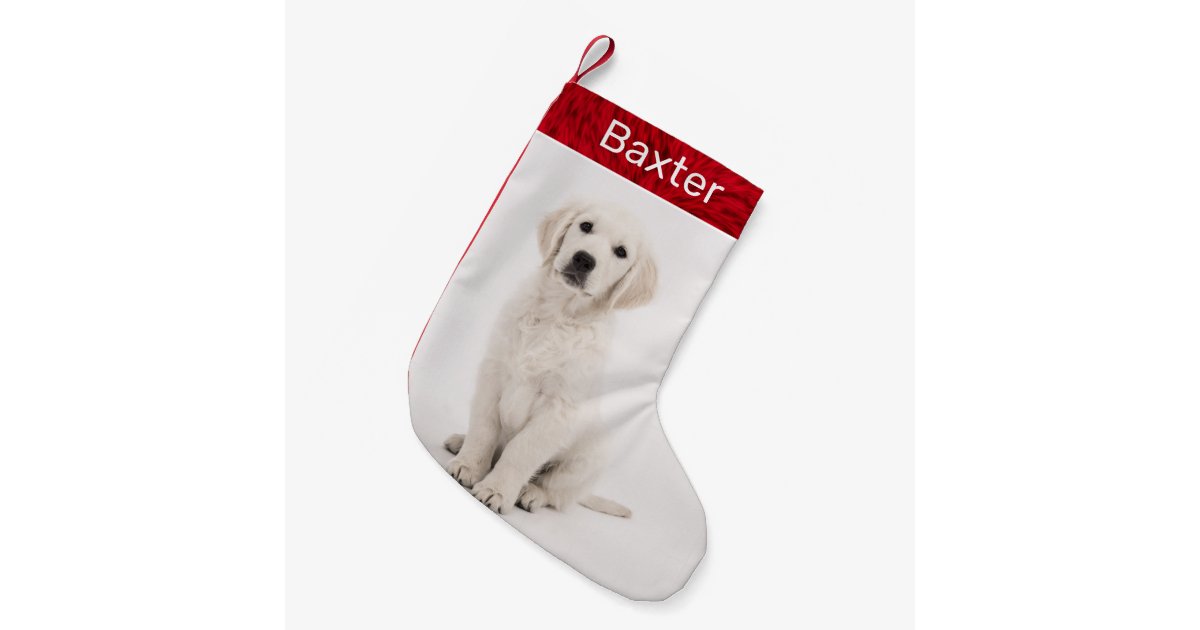 Pet Dog Photo Holiday Golden Retriever Small Christmas Stocking Zazzle Com