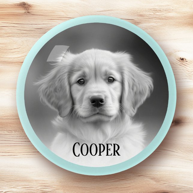 Pet dog photo light aqua blue border add name paperweight (Pet dog photo light aqua blue border add name paperweight)