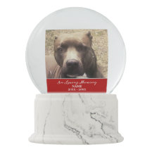 AD-BZ2GL Borzoi Dog 'Yours Forever' Photo Snow Globe Waterball Stocking Filler 