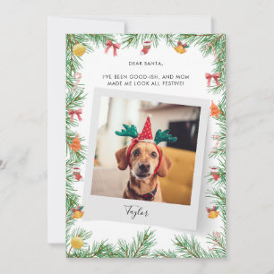 Pet Dog Photo Naughty or Nice Custom Christmas Holiday Card