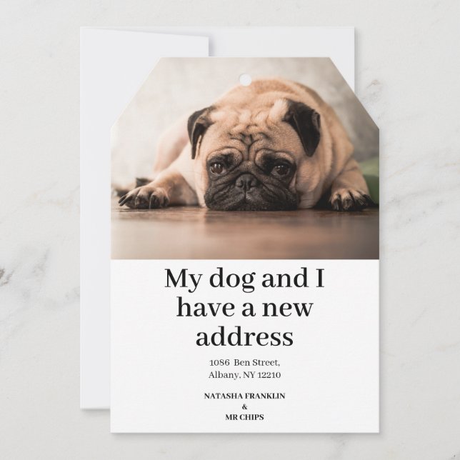 Pet Dog Photo New Address We've Moved Announcement (Front)
