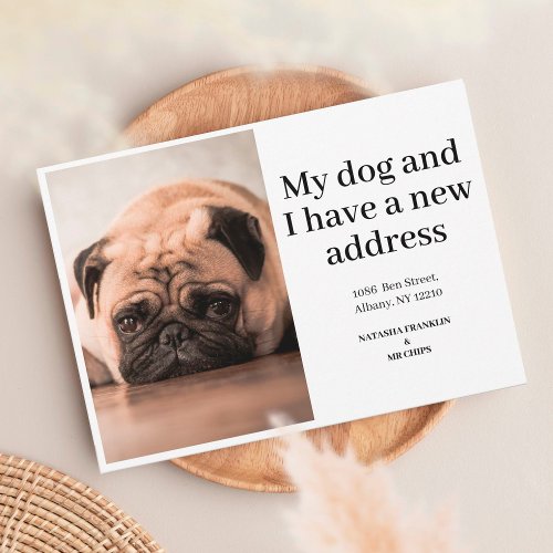 Pet Dog Photo New Address Weve Moved Announcement
