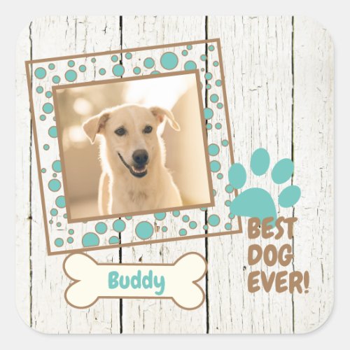 Pet Dog Photo Scrapbook Square Sticker