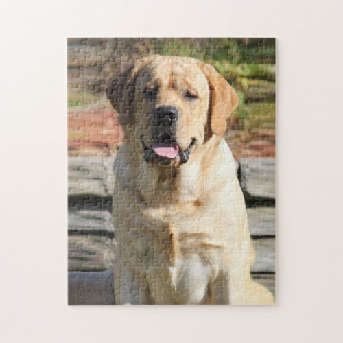 Pet dog Photo Template  Jigsaw Puzzle