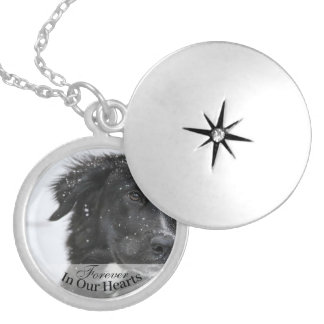 Pet Dog Photo Template Memorial Keepsake Locket Necklace