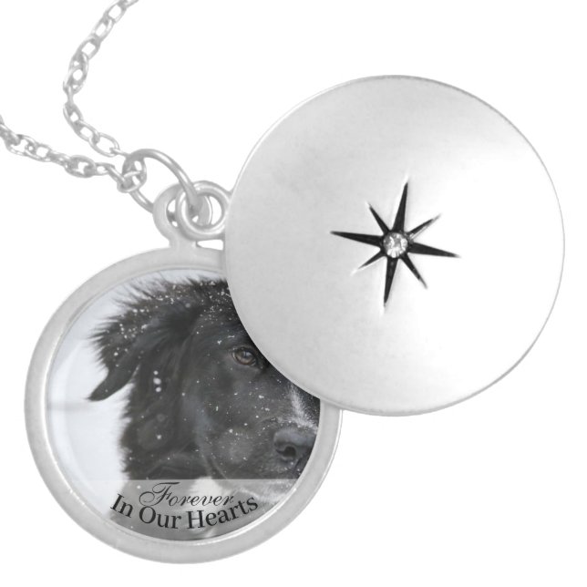Pet Dog Photo Template Memorial Keepsake Locket Necklace (Front)