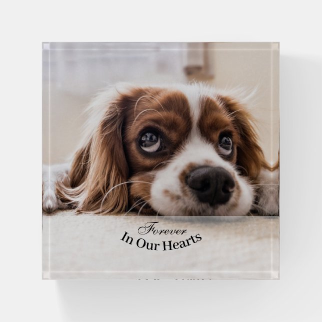 Pet Dog Photo Template Memorial Keepsake Paperweight (Front)