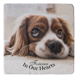 Pet Dog Photo Template Memorial Keepsake Trivet
