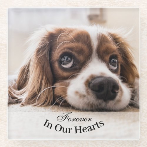 Pet Dog Photo Template Memorial Keepsake Trivet Glass Coaster