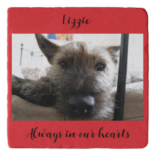 Pet Dog Remembrance Keepsake Photo Trivet