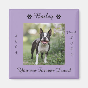 Pet Dog Remembrance Memorial Magnet