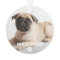 Pet Dog Simple Paw Print Custom Name Photo