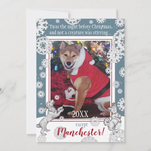 Pet Dog Snowflake Funny Animal Christmas Photo Holiday Card