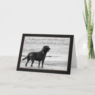 Pet Dog Sympathy Card - Touch Our Hearts