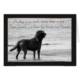 Pet Dog Sympathy Card - Touch Our Hearts