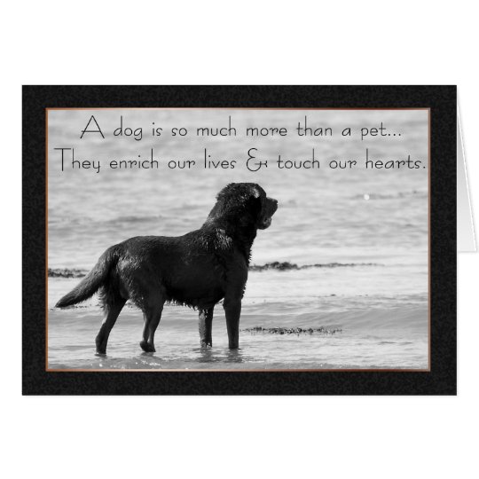 Pet Dog Sympathy Card - Touch Our Hearts | Zazzle.com