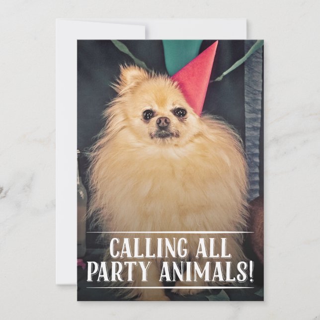 PET DOG'S BIRTHDAY PARTY PHOTO INVITE (Front)