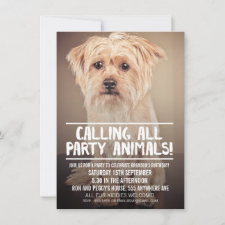 PET DOG'S PARTY PHOTO INVITE