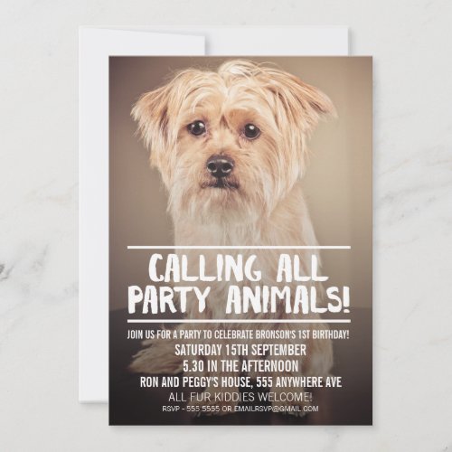 PET DOGS PARTY PHOTO INVITE