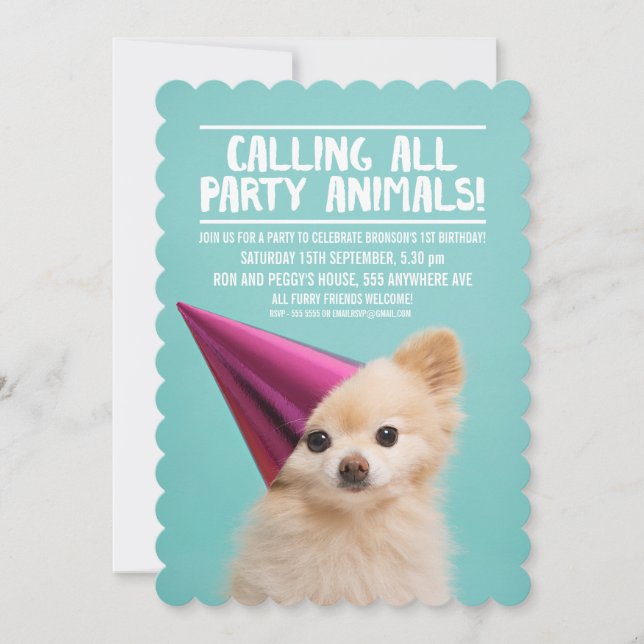 PET DOG'S PUPPY PARTY PHOTO INVITE (Front)