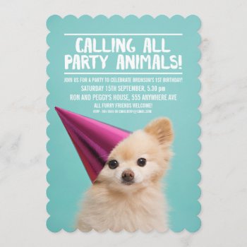 Pet Dog's Puppy Party Photo Invite by Pip_Gerard at Zazzle