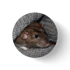 Pet Dumbo Rat Button / Badge
