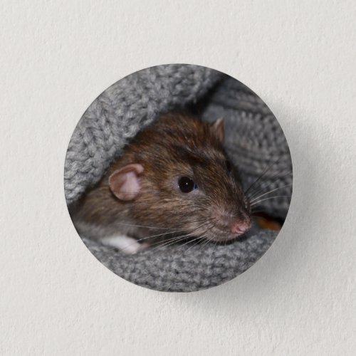 Pet Dumbo Rat Button  Badge