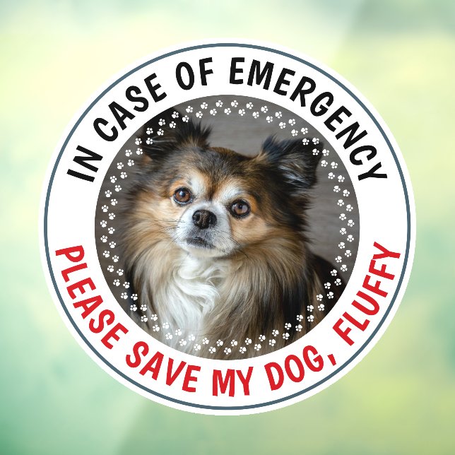 Pet Emergency Alert Custom Photo Name Safety Window Cling (Sheet 3)