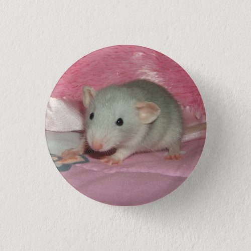 Pet Fancy Rat Button Pin Baby Russian Silver Dumbo