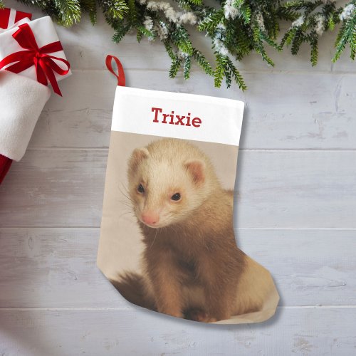 Pet Ferret Lover Photo and Name Personalized Small Christmas Stocking