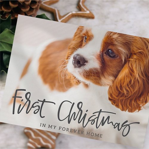 Pet First Christmas in Forever Home Photo Holiday Postcard