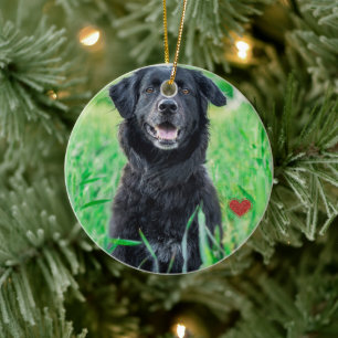 Pet First Christmas Photo Name  Ceramic Ornament