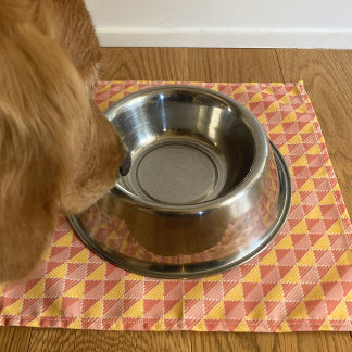 Pet Floor Cloth Mat Napkin