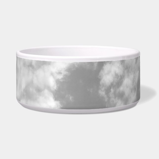 PET FOOD BOWL DESIGN STYLE  (Front)