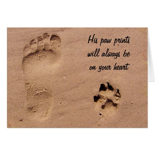 Pet & Footprint in the Sand Cards (Front Horizontal)