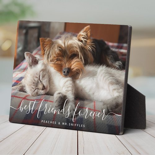 Pet Friends Best Friends Forever BFF Besties Photo Plaque