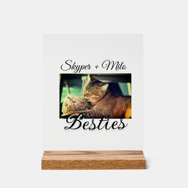 Pet friends besties add name pet photo animal love acrylic sign (Front)