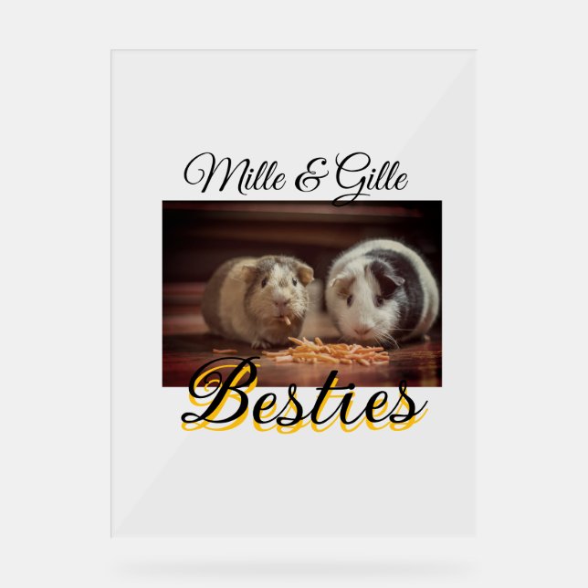 Pet friends besties add name pet photo animal love acrylic sign (Front)