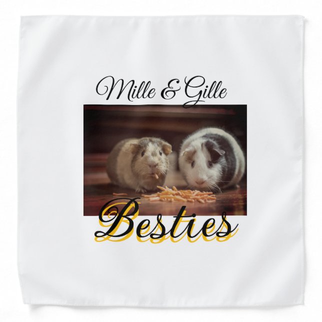 Pet friends besties add name pet photo animal love bandana (Front)