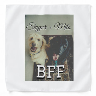 Pet friends besties add name pet photo animal love bandana