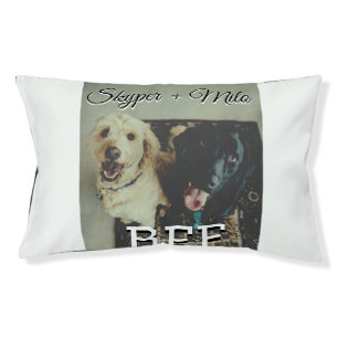Pet friends besties add name pet photo animal love bed