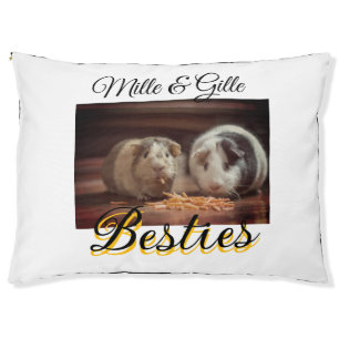 Pet friends besties add name pet photo animal love bed