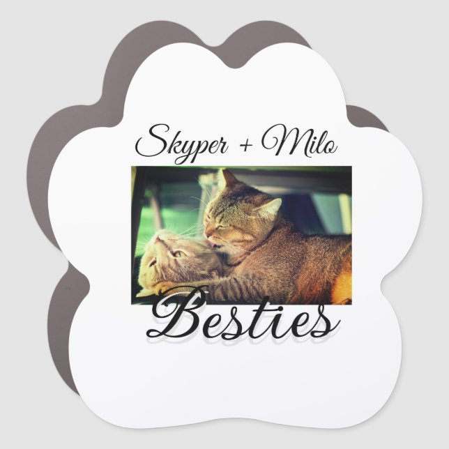 Pet friends besties add name pet photo animal love car magnet (Front)
