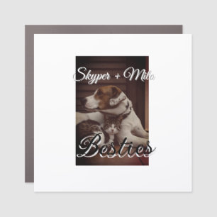 Pet friends besties add name pet photo animal love car magnet