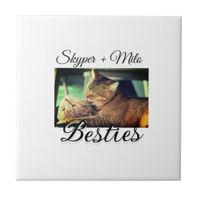 Pet friends besties add name pet photo animal love ceramic tile (Front)
