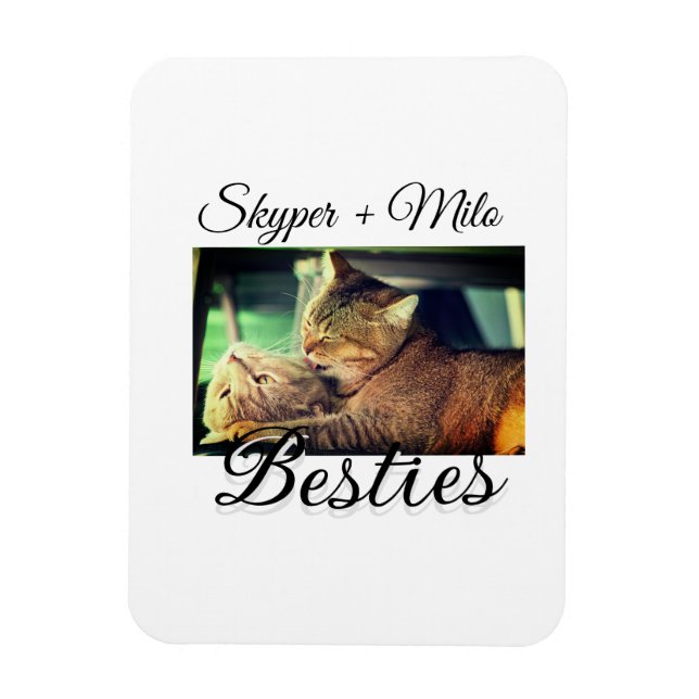 Pet friends besties add name pet photo animal love magnet (Vertical)