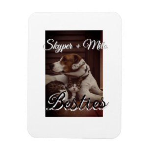 Pet friends besties add name pet photo animal love magnet