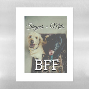 Pet friends besties add name pet photo animal love magnetic dry erase sheet